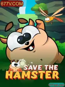 SavetheHamster: Um Jogo Envolvente e Educativo